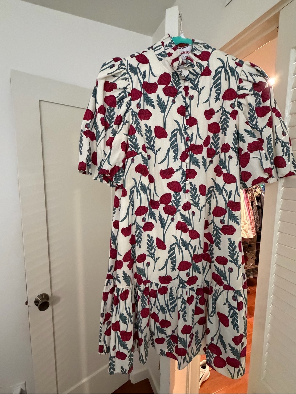 Floral Puff-Sleeve Mini Dress in Ivory and Red
